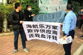 麻栗坡遇到恶意拖欠？专业追讨公司帮您解决烦恼